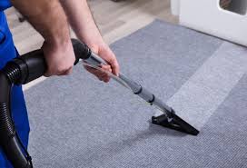 Professional Carpet Cleaning: Ensuring…