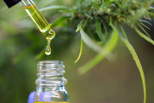 What Is CBD Oil?